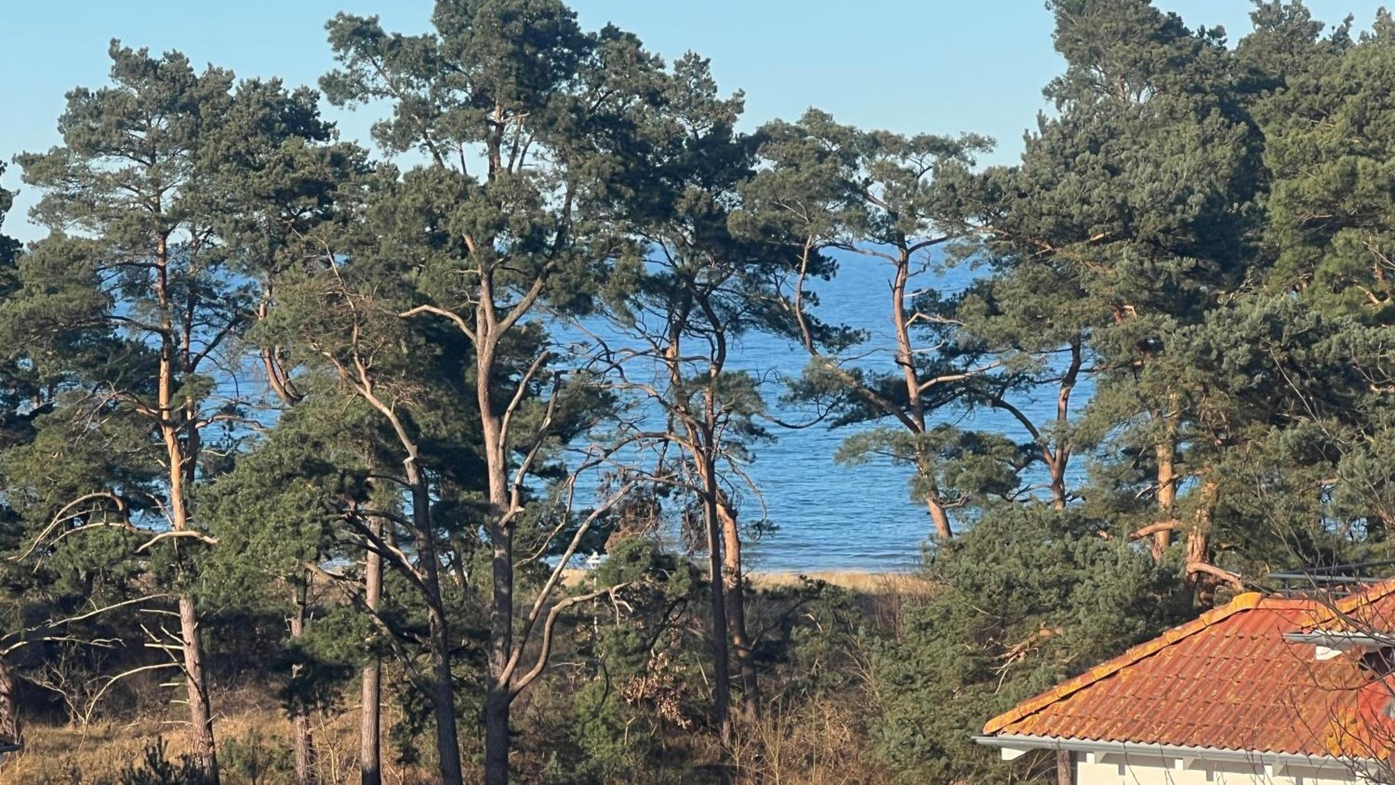 Appartement Meeresrauschen Baabe Eksteriør bilde
